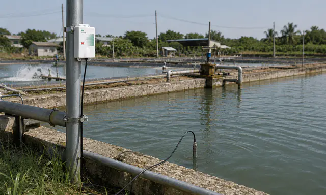 Smart Aquaculture Temperature Monitoring in Taiwan